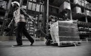 Order Picking Warehouse Labor